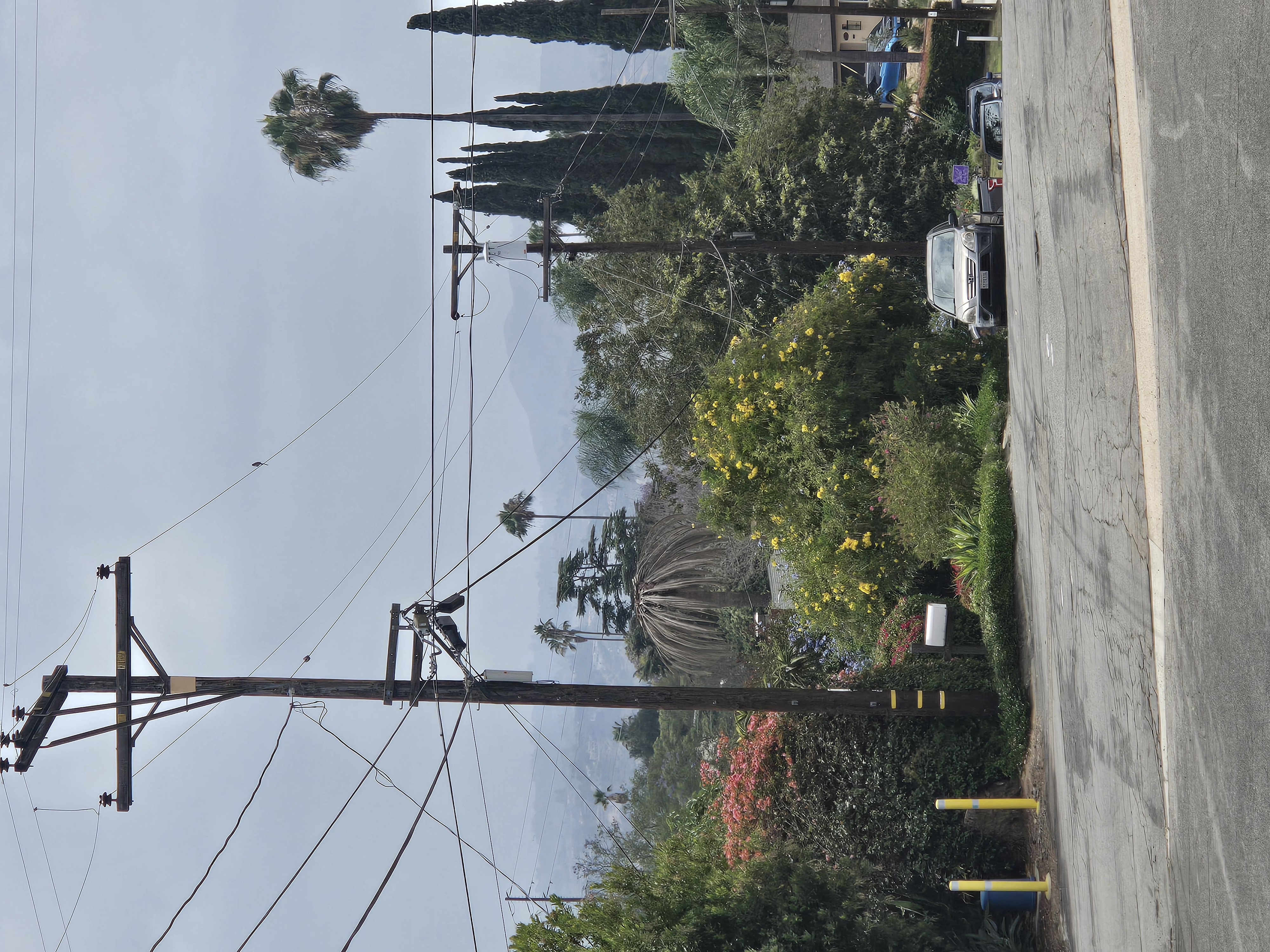 Palm decline example on Sunset Drive